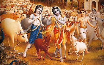 Krsna_Balarama_cows.jpg